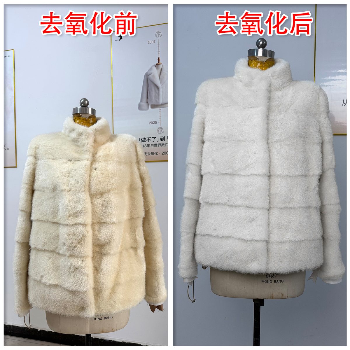 貂皮去氧化修复案例 06