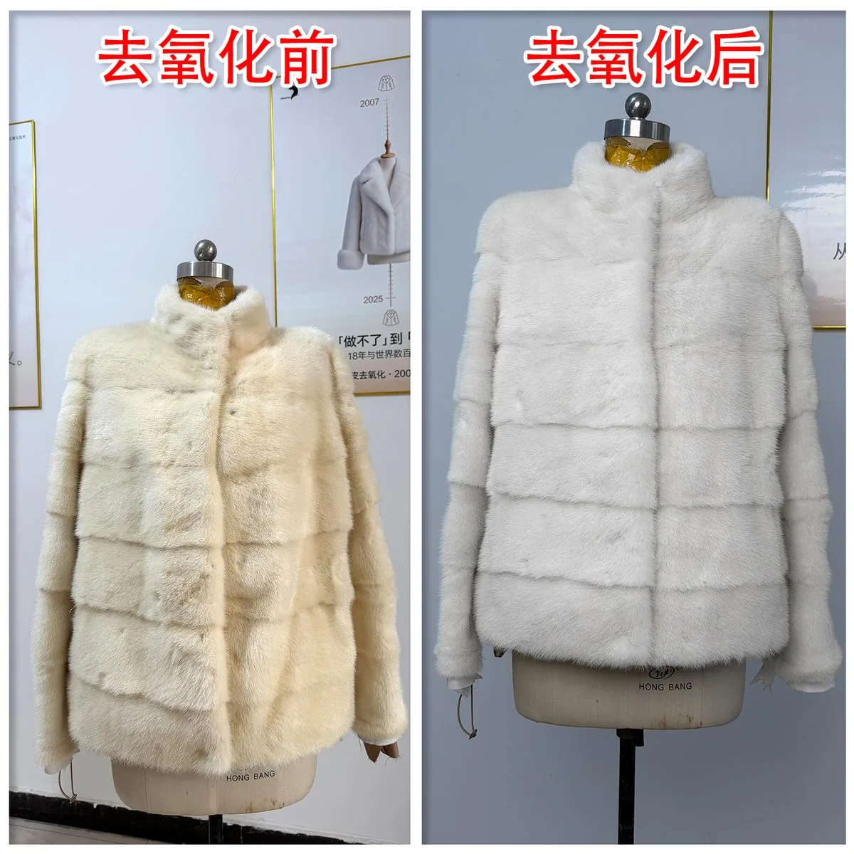 浅色貂皮去氧化修复案例